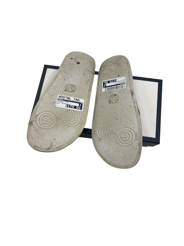 Sandals Sport By Gucci Size: 11 Discount