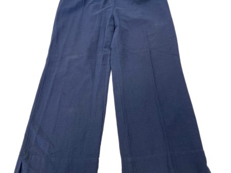 Pants Ankle By Soft Surroundings  Size: Petite Large on Sale