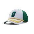 Charlotte 49ers 5 Panel Roped Oak Leaf Sprig Trucker Hat on Sale