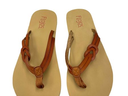 Sandals Flip Flops By Flojos Size: 7 Fashion