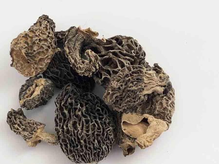 Morel Mushrooms 1 oz bag For Sale