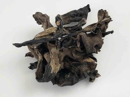 Black Trumpet Mushrooms 1 oz bag Fashion