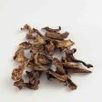 Chanterelle Mushrooms 1 oz bag For Sale