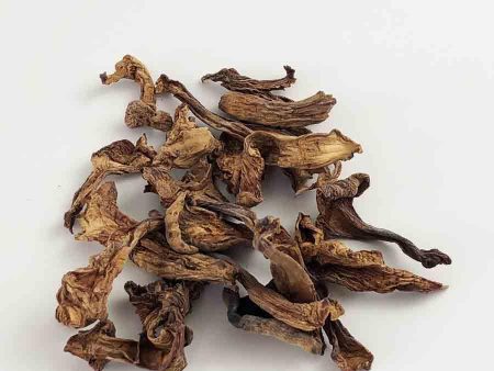 Chanterelle Mushrooms 1 oz bag For Sale