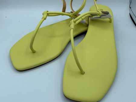 Sandals Low By Express  Size: 7 Online Sale