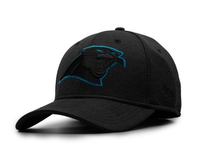 Exclusive Carolina Panthers Blue Eyed Stretch Fit Hat For Cheap