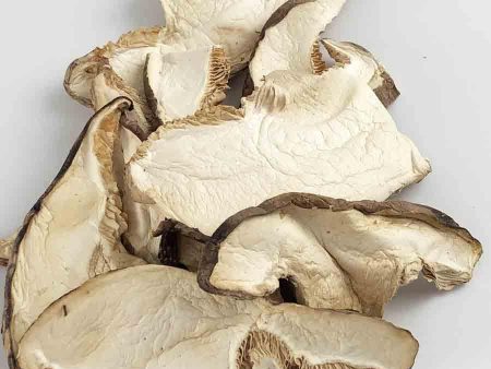 Shiitake Mushrooms, Sliced 1 oz bag Sale