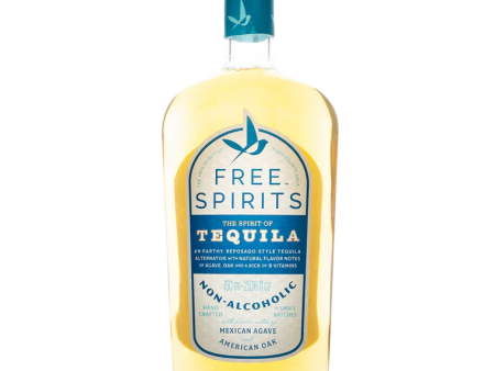 Agave Margarita Bundle Online now