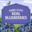 Birch Benders Organic Blueberry Quick Bread and Muffin Mix Sale